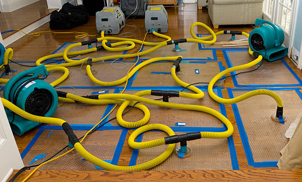 Professional Crawl Space Water Removal technician working in Baltic, CT
